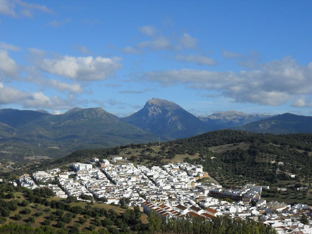 Casa Las Lomas Прадо дел Рей Стая снимка